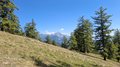 20250807_114655.jpg