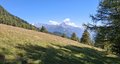 20250807_120101.jpg