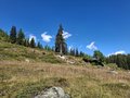 20250807_121956.jpg
