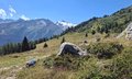 20250807_122001.jpg