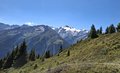 20250807_124330.jpg