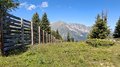 20250807_124626.jpg