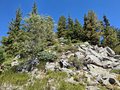 20250807_125350.jpg