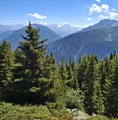 20250807_125842.jpg