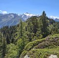 20250807_125845.jpg