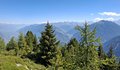 20250807_130445.jpg