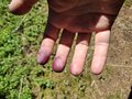 20250807_144048.jpg