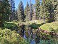 20250807_151003.jpg