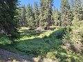 20250807_151643.jpg