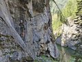 20250817_114312.jpg