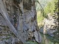 20250817_114315.jpg
