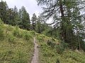 20250819_145334.jpg