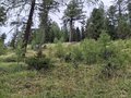 20250819_145336.jpg