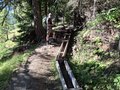 20250824_102343.jpg