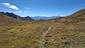 20250831_141619.jpg