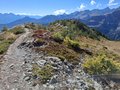 20250831_162125.jpg