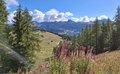 20250902_103159.jpg