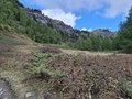 20250902_110529.jpg