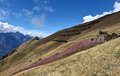 20250902_114950.jpg