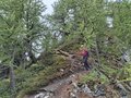 20250902_125258.jpg