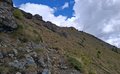 20250902_135833.jpg
