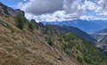 20250902_142255.jpg