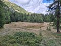 20250902_155916.jpg