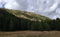 20250902_155953.jpg