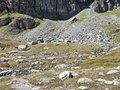 20250903_143107.jpg