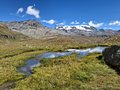 20250903_143601.jpg