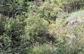 20250904_110016.jpg