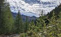 20250904_110357.jpg