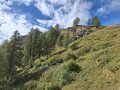 20250904_113618.jpg