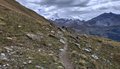 20250904_115906.jpg