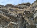 20250904_130822.jpg