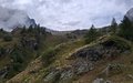 20250904_142214.jpg