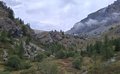 20250904_142658.jpg