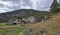 20250904_143951.jpg