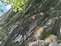 20250904_154622.jpg