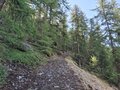 20250905_103800.jpg