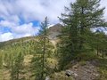 20250905_115417.jpg