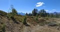 20250905_150816.jpg