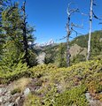20250905_155507.jpg