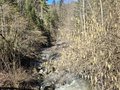 20260224_143130.jpg