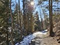 20260224_153651.jpg