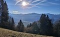 20260224_162604.jpg