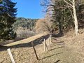 20260224_162610.jpg
