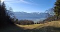 20260224_163227.jpg