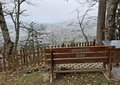 20260318_103913.jpg