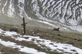 20260318_105839.jpg